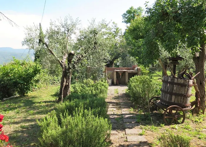 Erbe By Interhome Montescudaio
